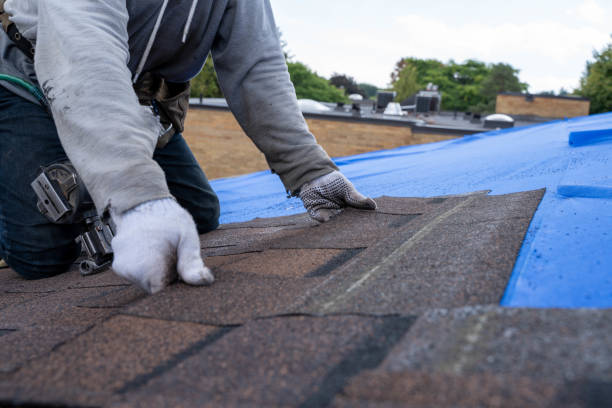 Best Roof Maintenance Services  in Bessemer, MI