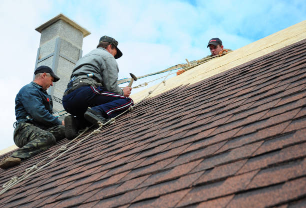 Best Flat Roof Repair Services  in Bessemer, MI