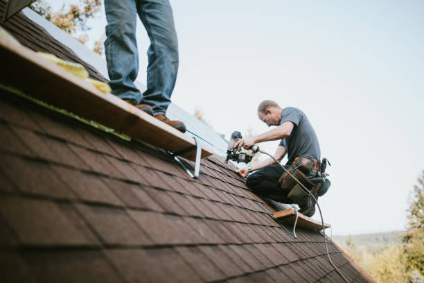 Best Roof Gutter Cleaning  in Bessemer, MI